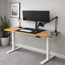 Escritorio Premium Ajustable En Altura Eléctrico Con Multitoma.